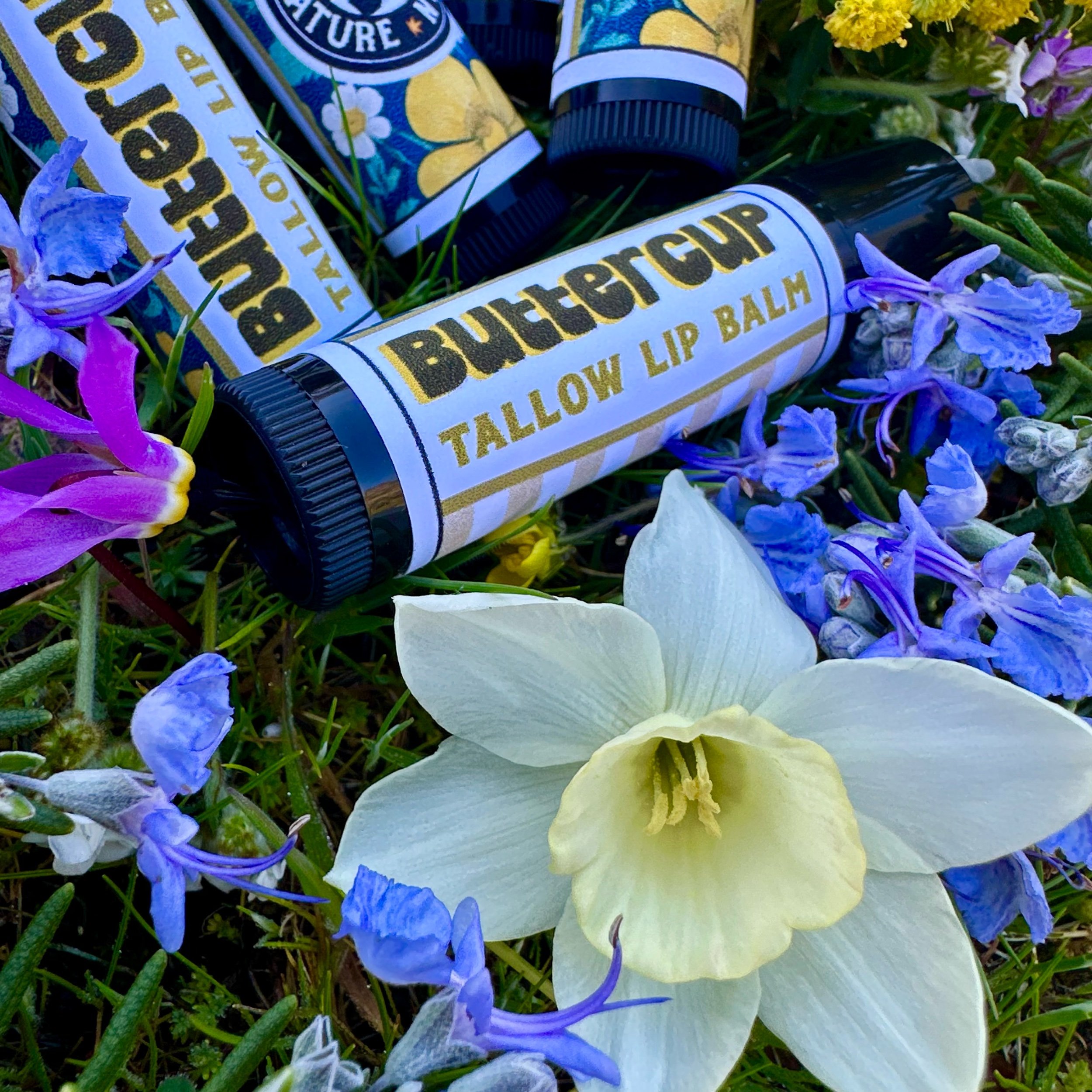 Buttercup Nourishing Tallow Lip Balm