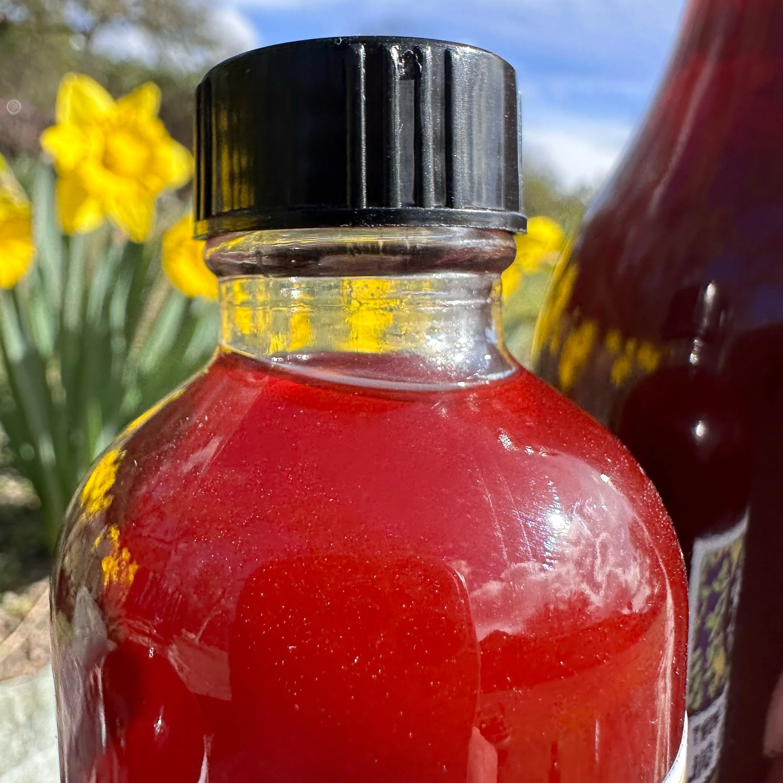 St. John's Wort Oil