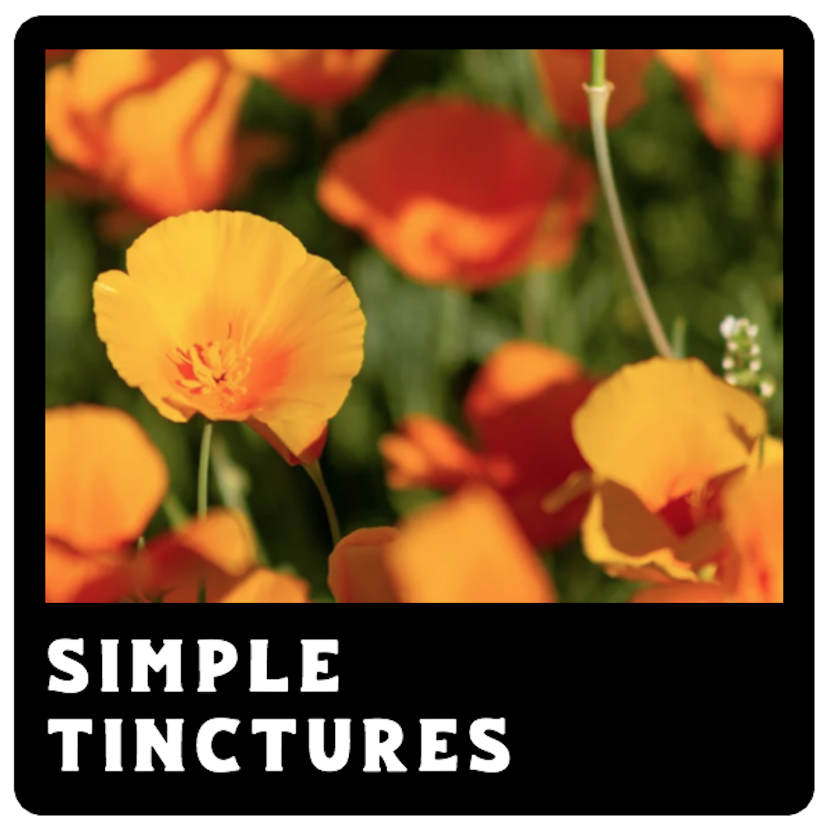 Screen Shot 2026-02-10 at 8.46.25 AM.png