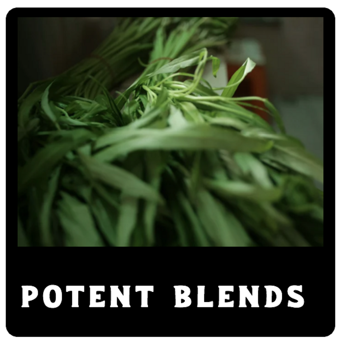 Screen Shot 2026-02-10 at 8.44.25 AM.png