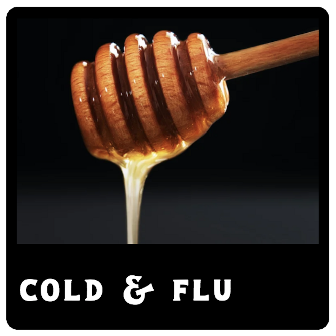 Screen Shot 2026-02-10 at 8.50.03 AM.png