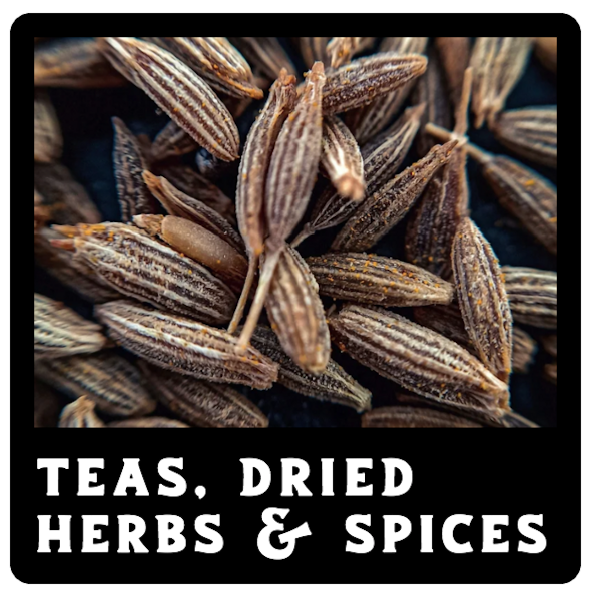 Screen Shot 2026-02-10 at 8.42.44 AM.png