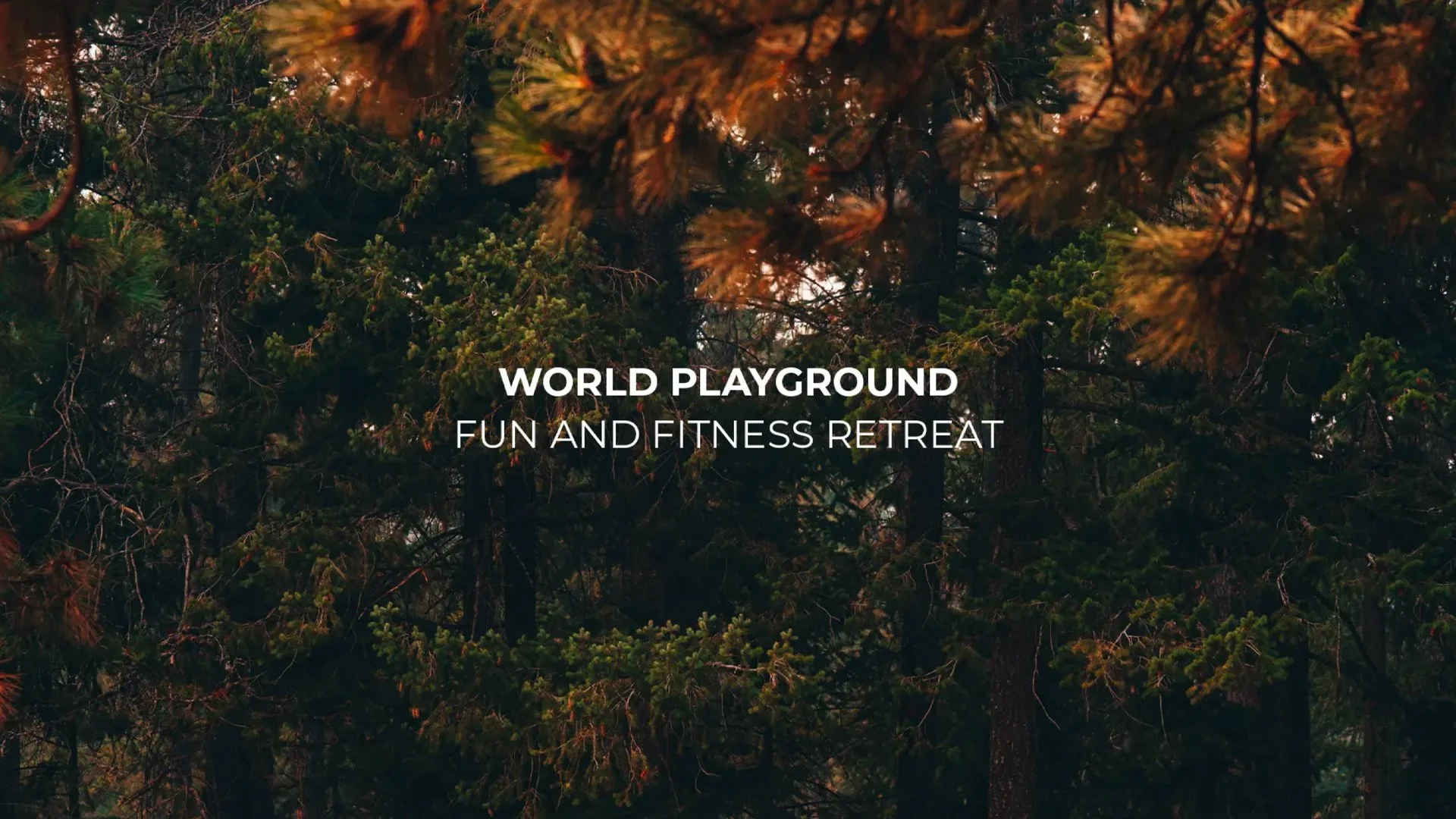 world playground.jpg