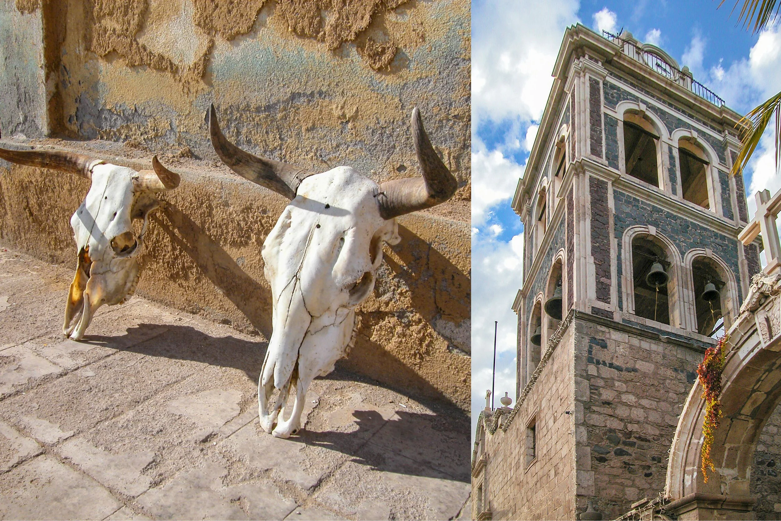 Collage 1.jpg
