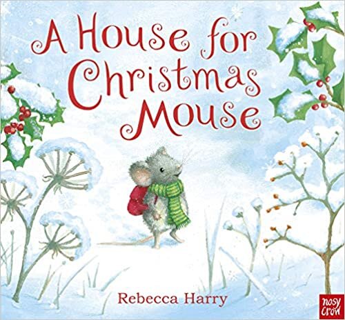 House for Christmas Mouse.jpg