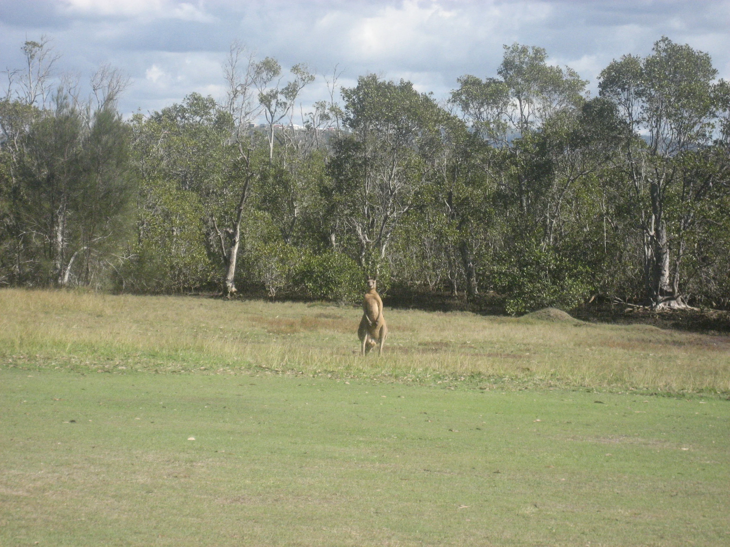 Competition Results for Week Ending 12/05/2018