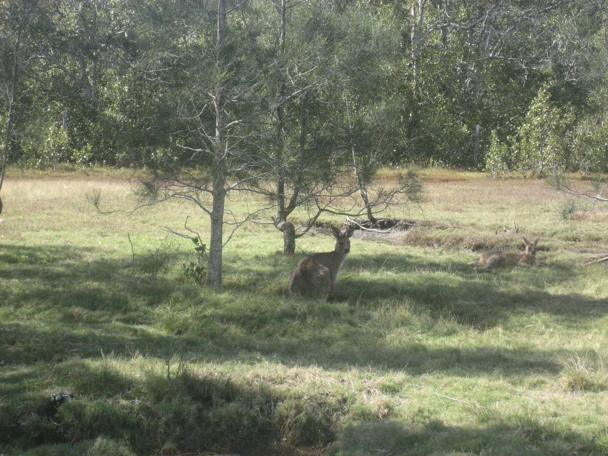 Competition Results for Week Ending 02 June 2018