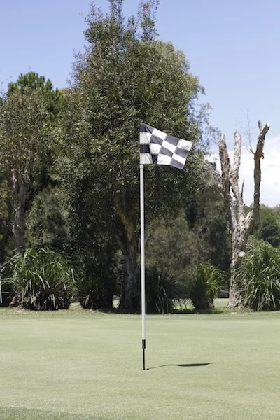 COMPETITION RESULTS FOR WEEK ENDING 07/07/2018