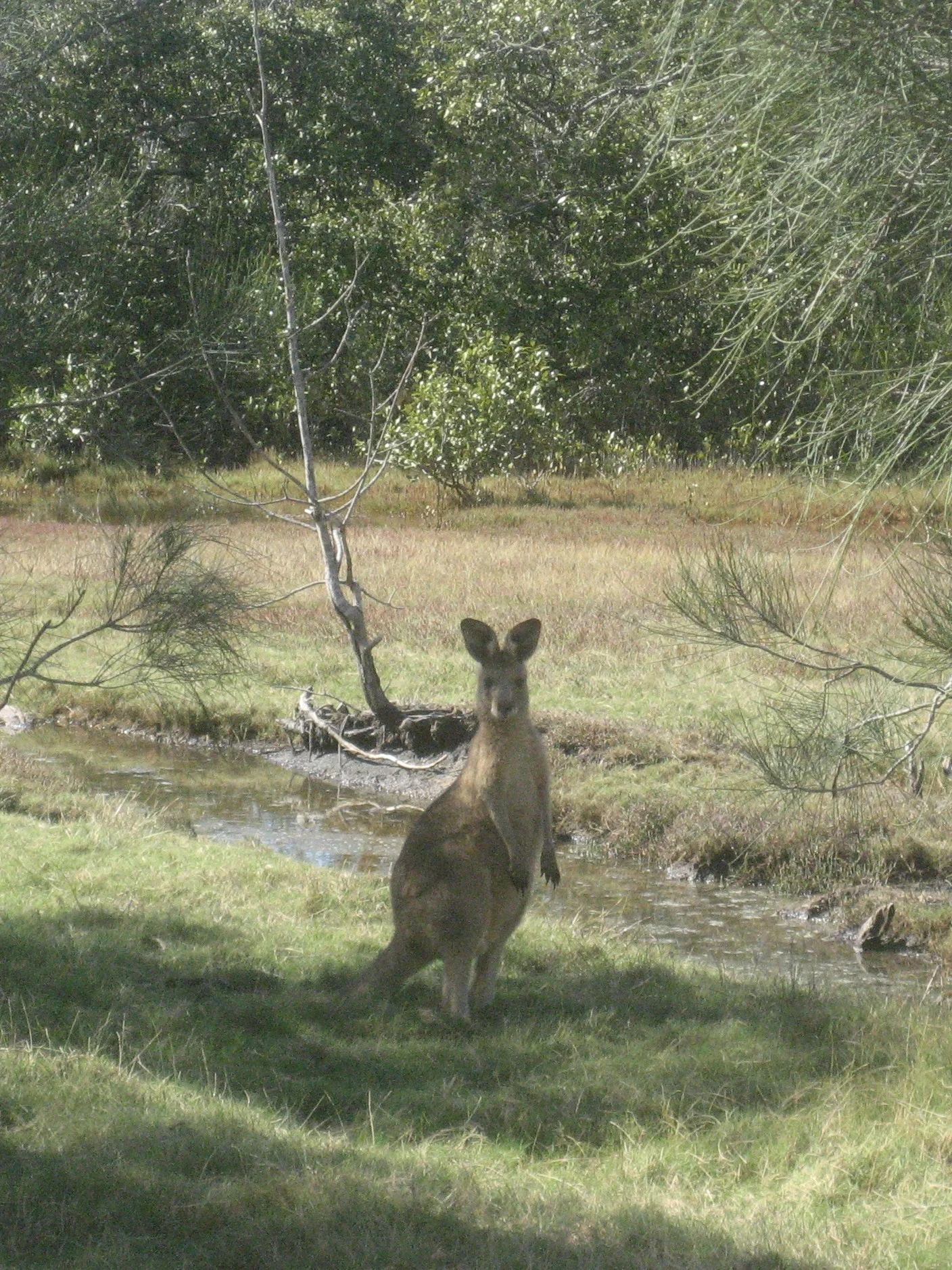 COMPETITION RESULTS FOR WEEK ENDING 21/07/2018