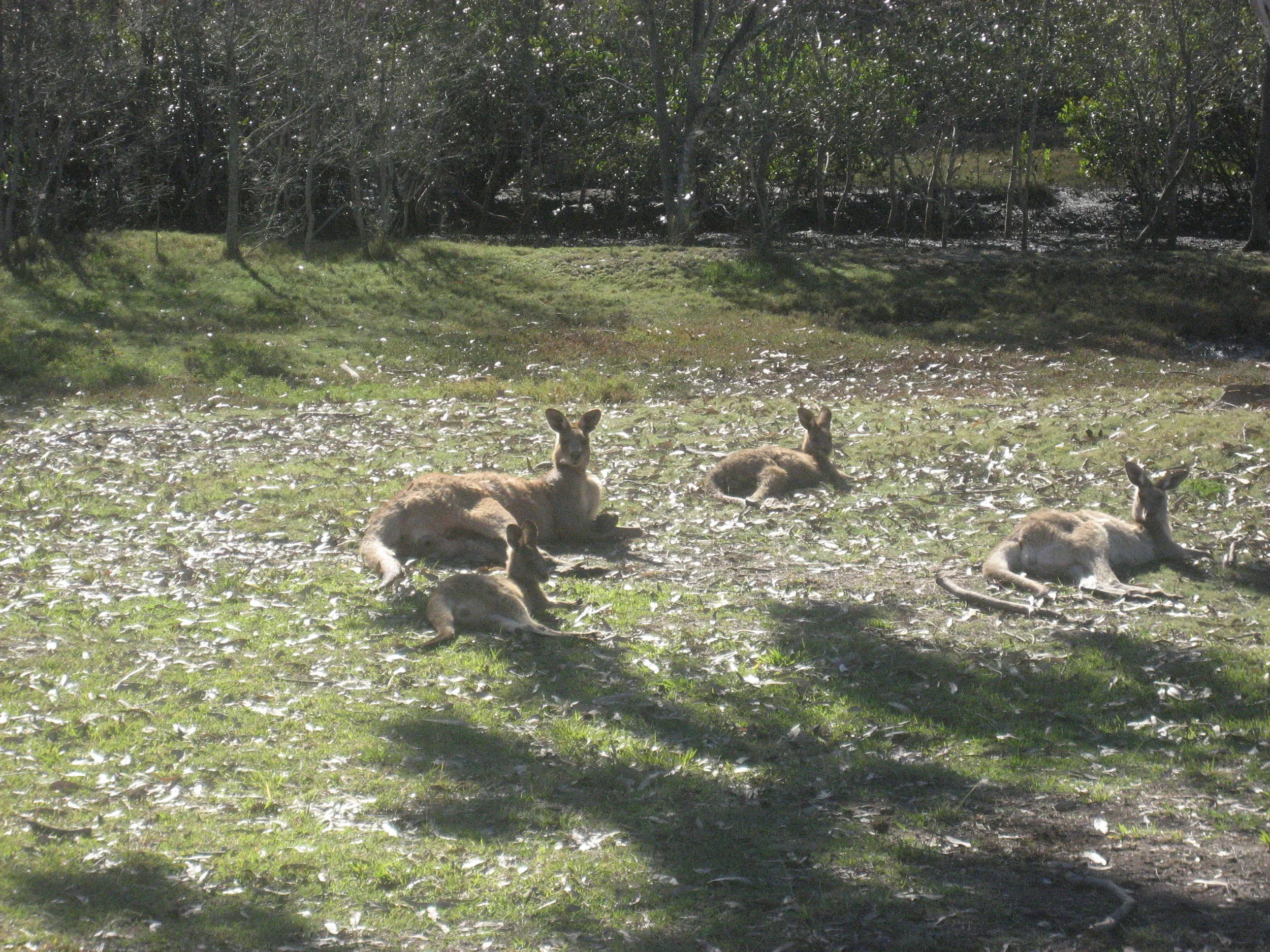 Competition Results for Week Ending 11th August 2018