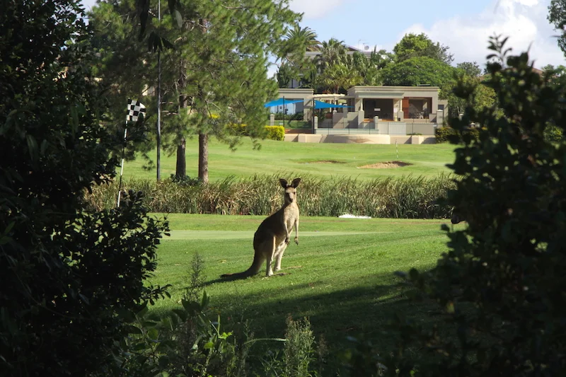 COMPETITION RESULTS FOR WEEK ENDING 24/11/2018