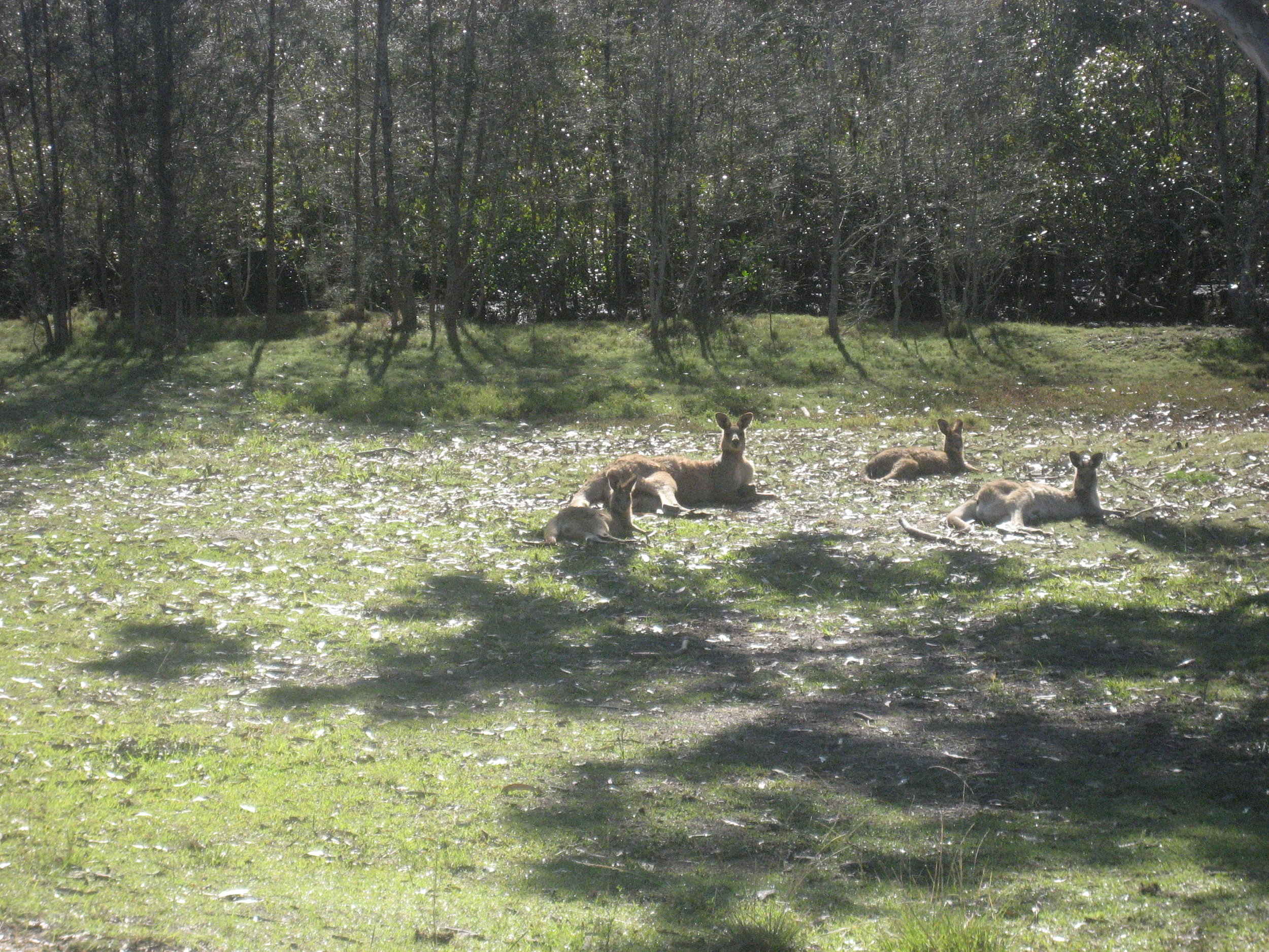 COMPETITION RESULTS FOR WEEK ENDING 15/12/2018