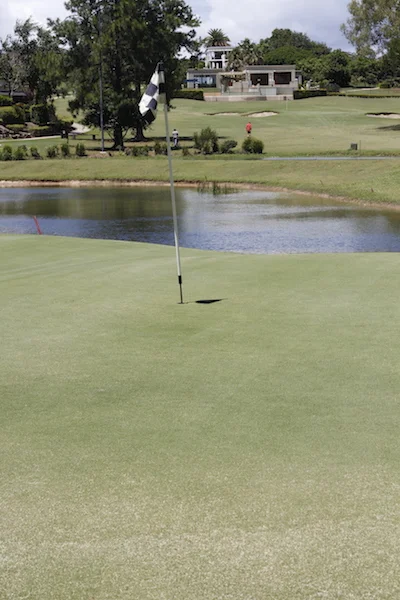 COMPETITION RESULTS FOR WEEK ENDING 19/01/2019