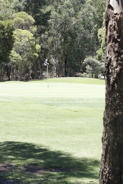 COMPETITION RESULTS FOR WEEK ENDING 26/01/2019