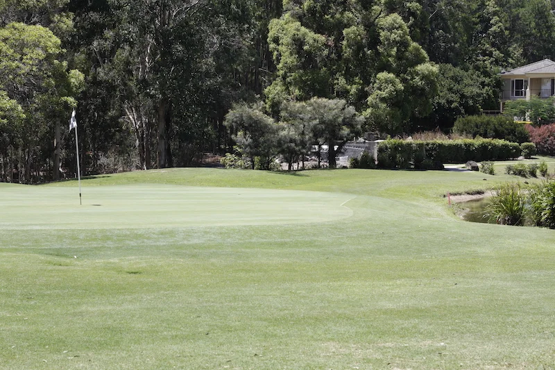 COMPETITION RESULTS week ending 24/02/2019