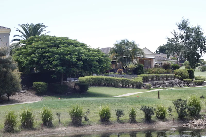 COMPETITION RESULTS week ending 3/2/19