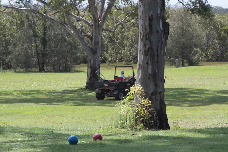 COMPETITION RESULTS FOR WEEK ENDING 16/11/2019