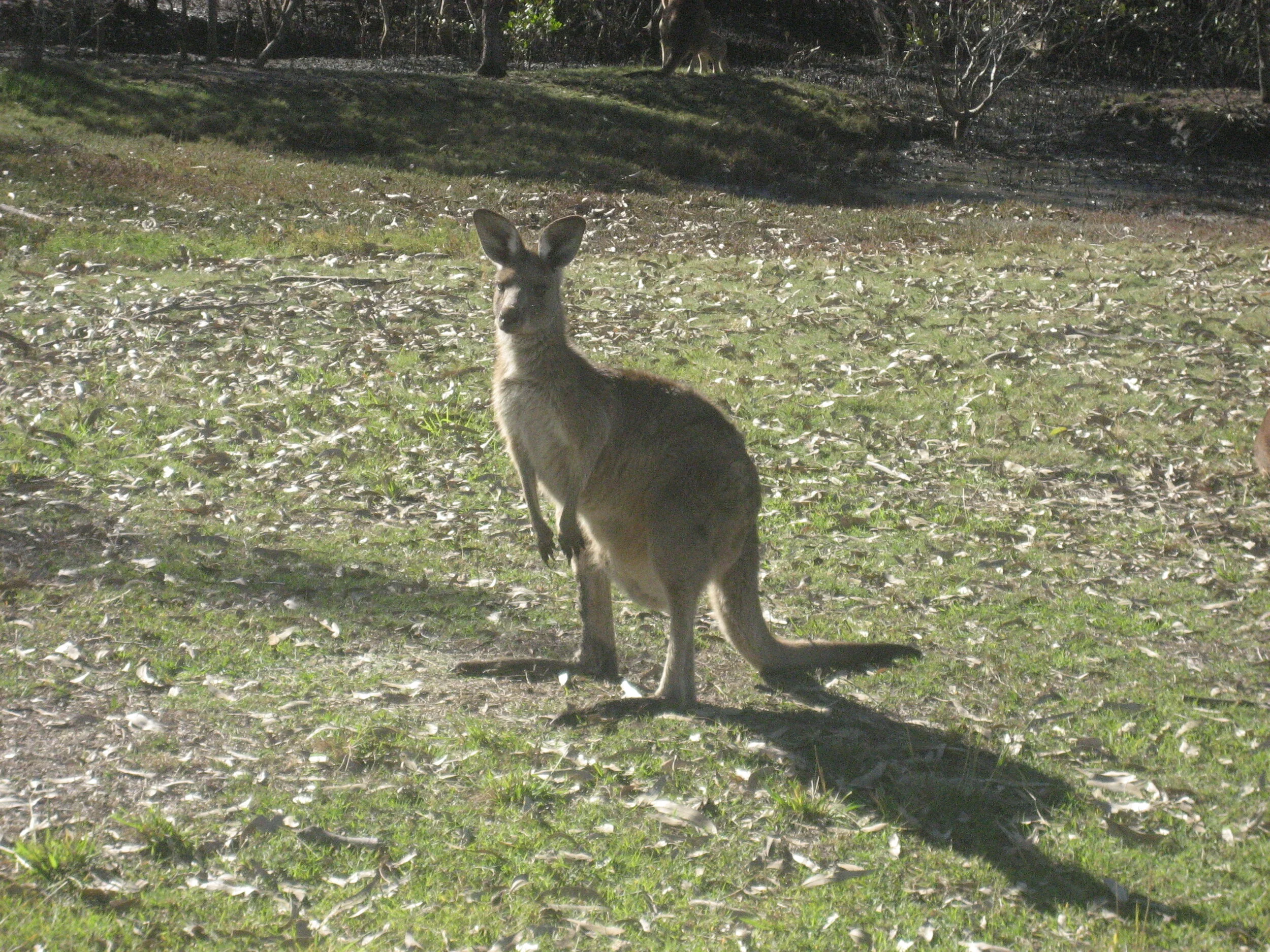 COMPETITION RESULTS FOR WEEK ENDING 15/03/2020