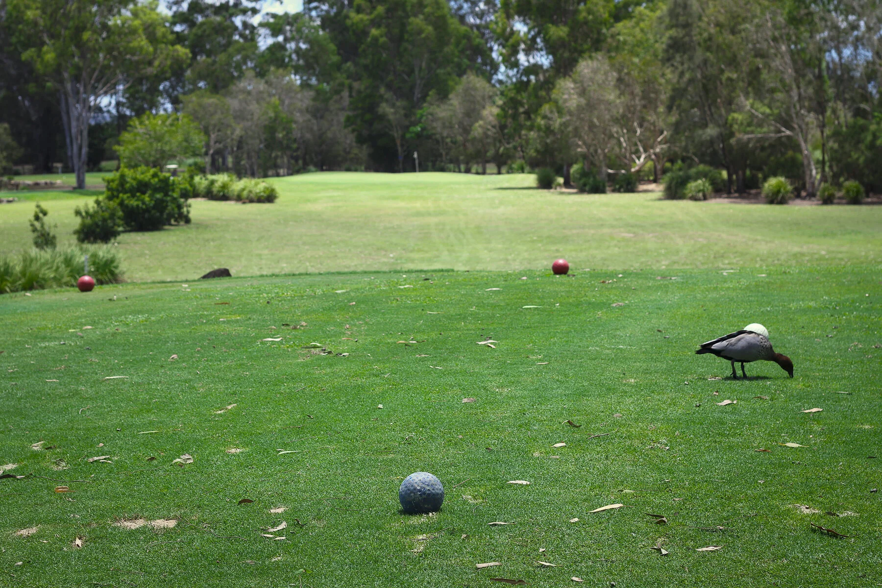 Lakeside Golf Club — Dress Code & Rules