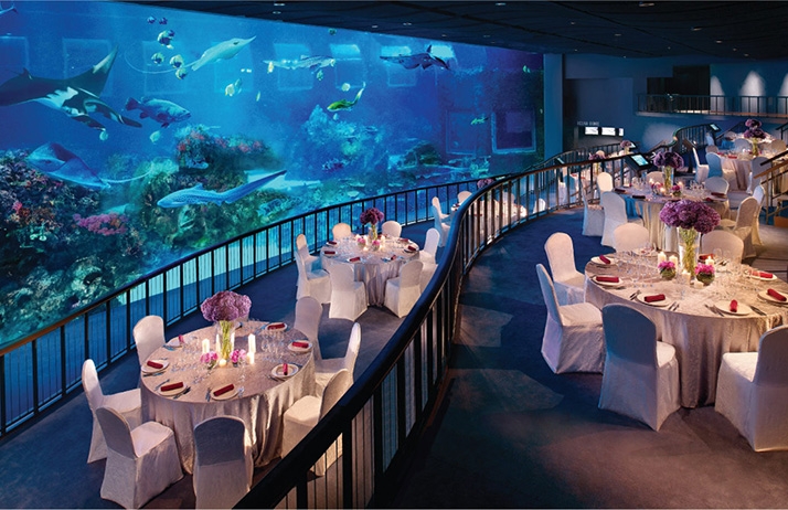 SEAAquarium-OpenOceanGallery.jpg