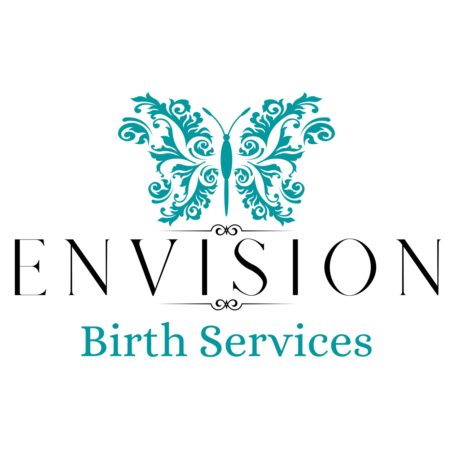 Envision Birth Services