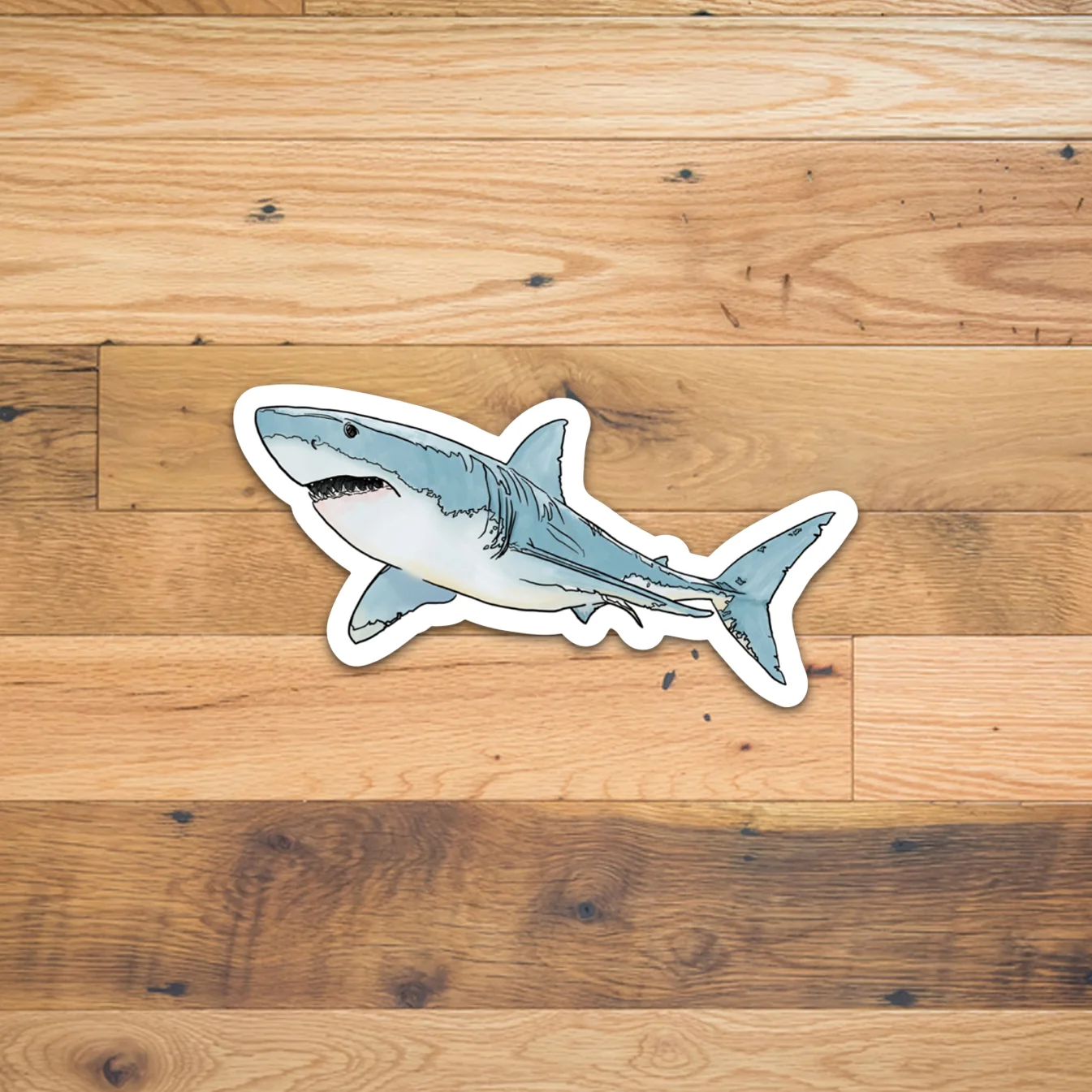 Shark Sticker