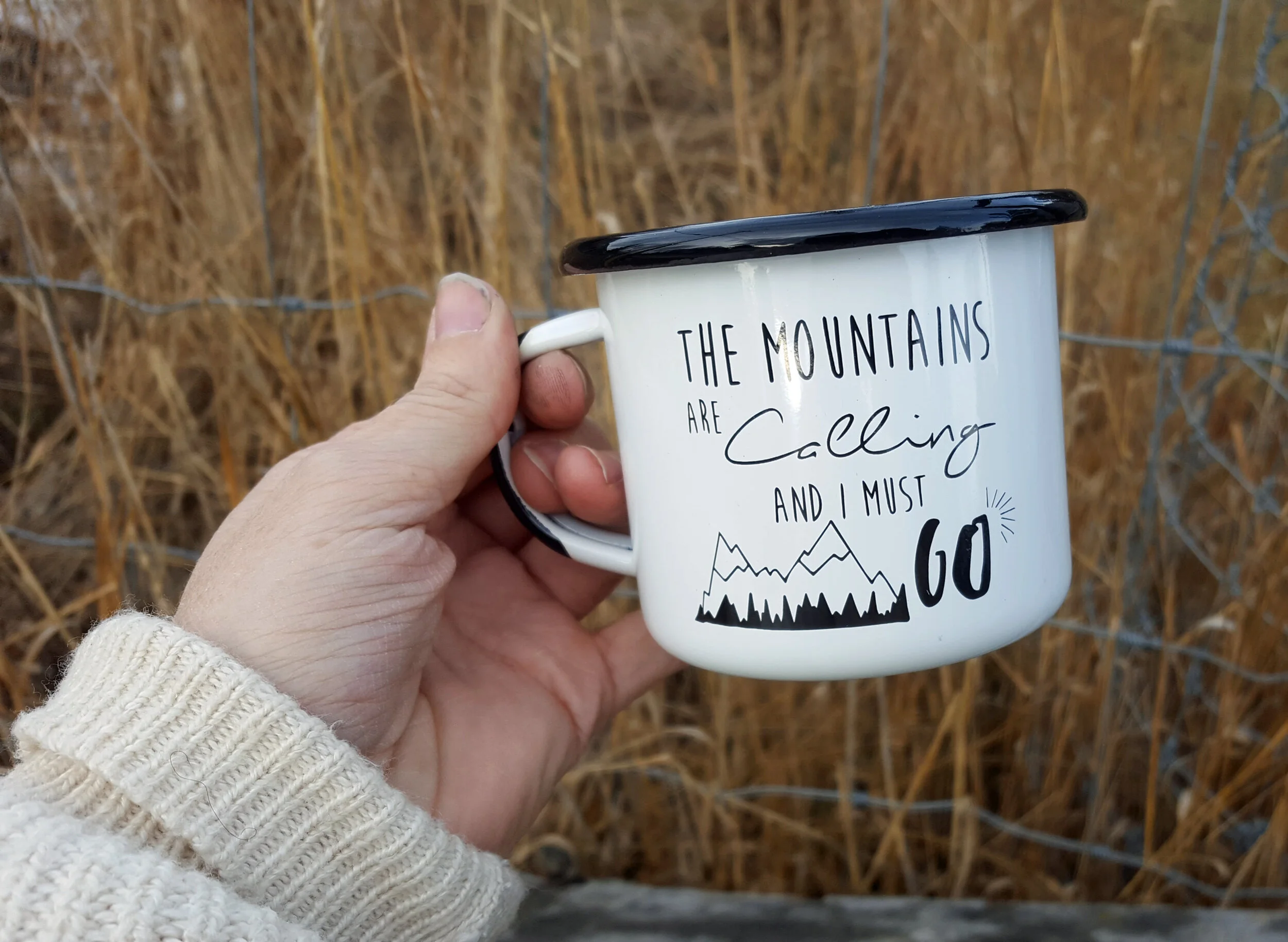 Corvidae 10 Enamel Mug.jpg