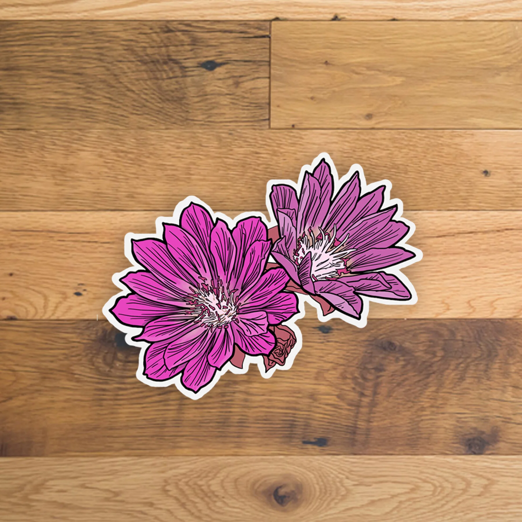 Bitterroot Sticker