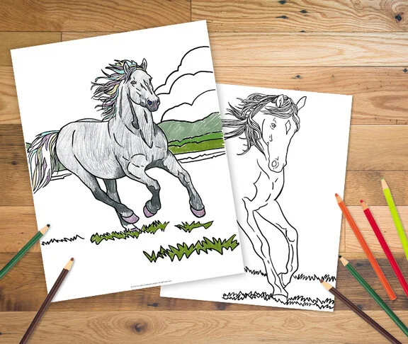 horse.jpg