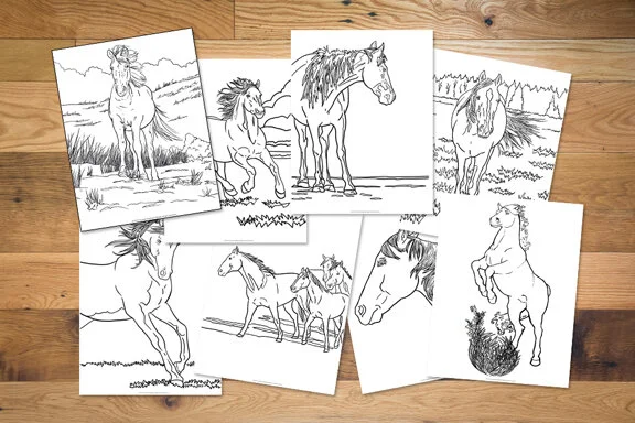 horses.jpg