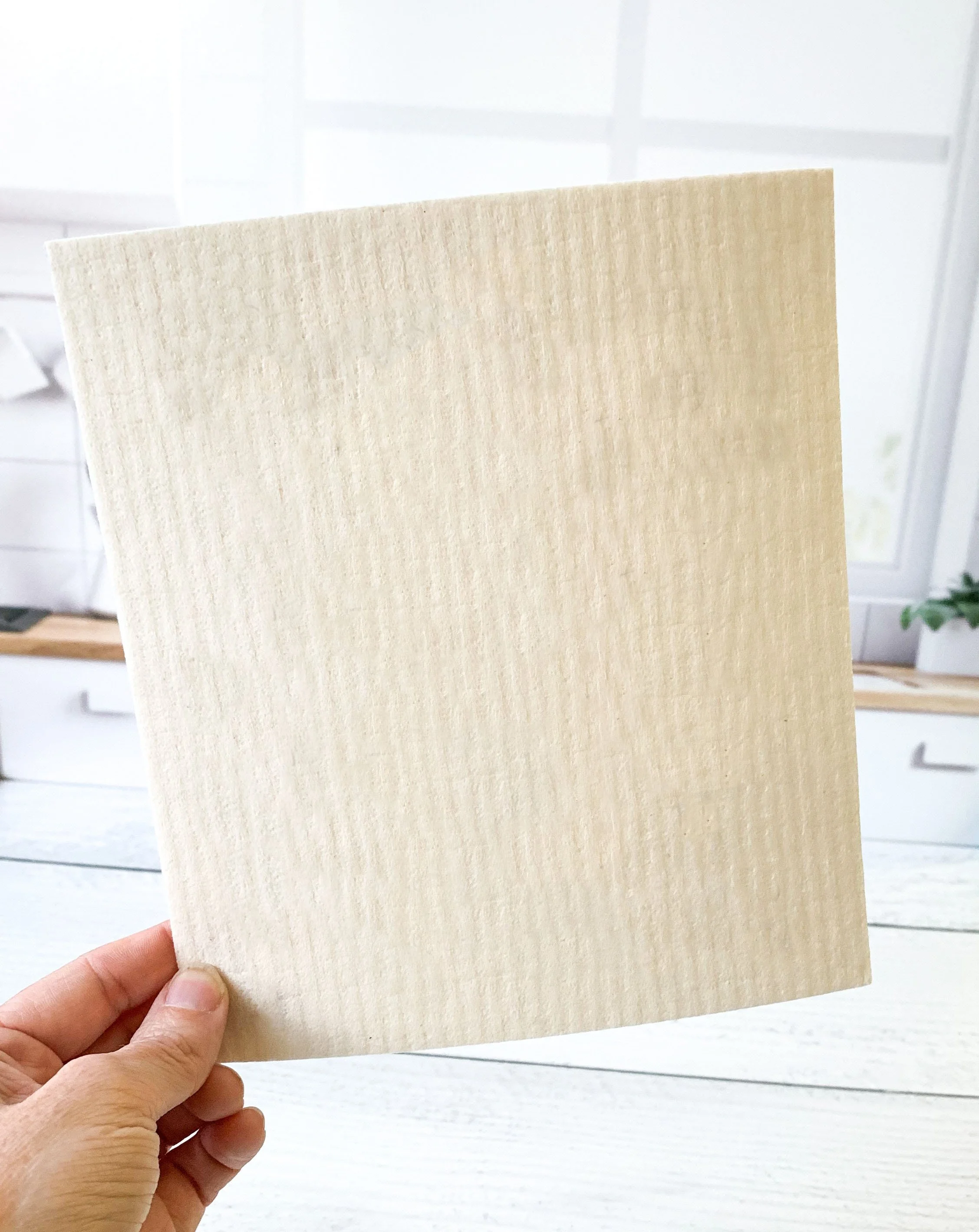Blank dischloth holding with background.jpg