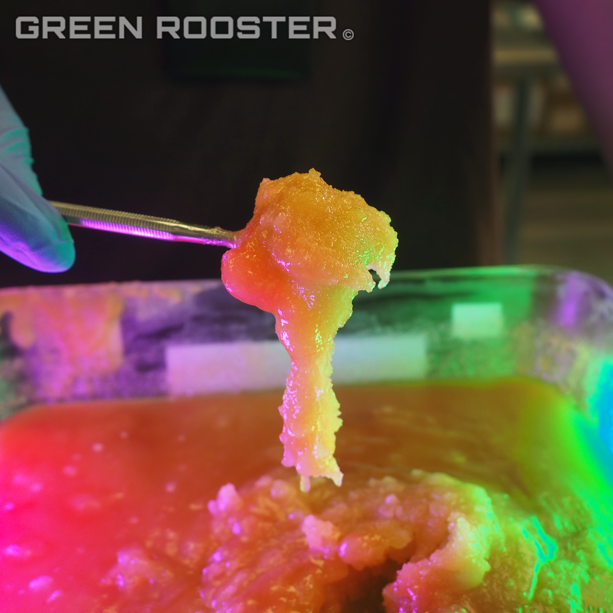 Concentrate-Glob-pink-and-green-light.png