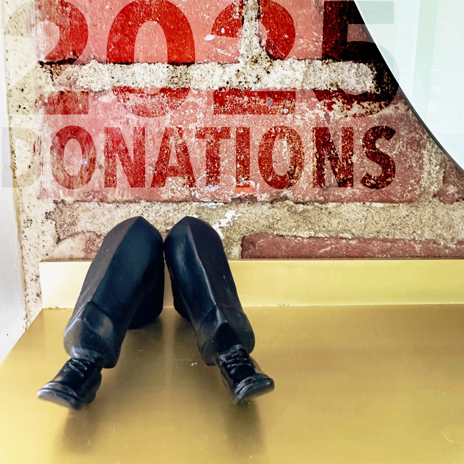 2025 Donation: Help Where We Can