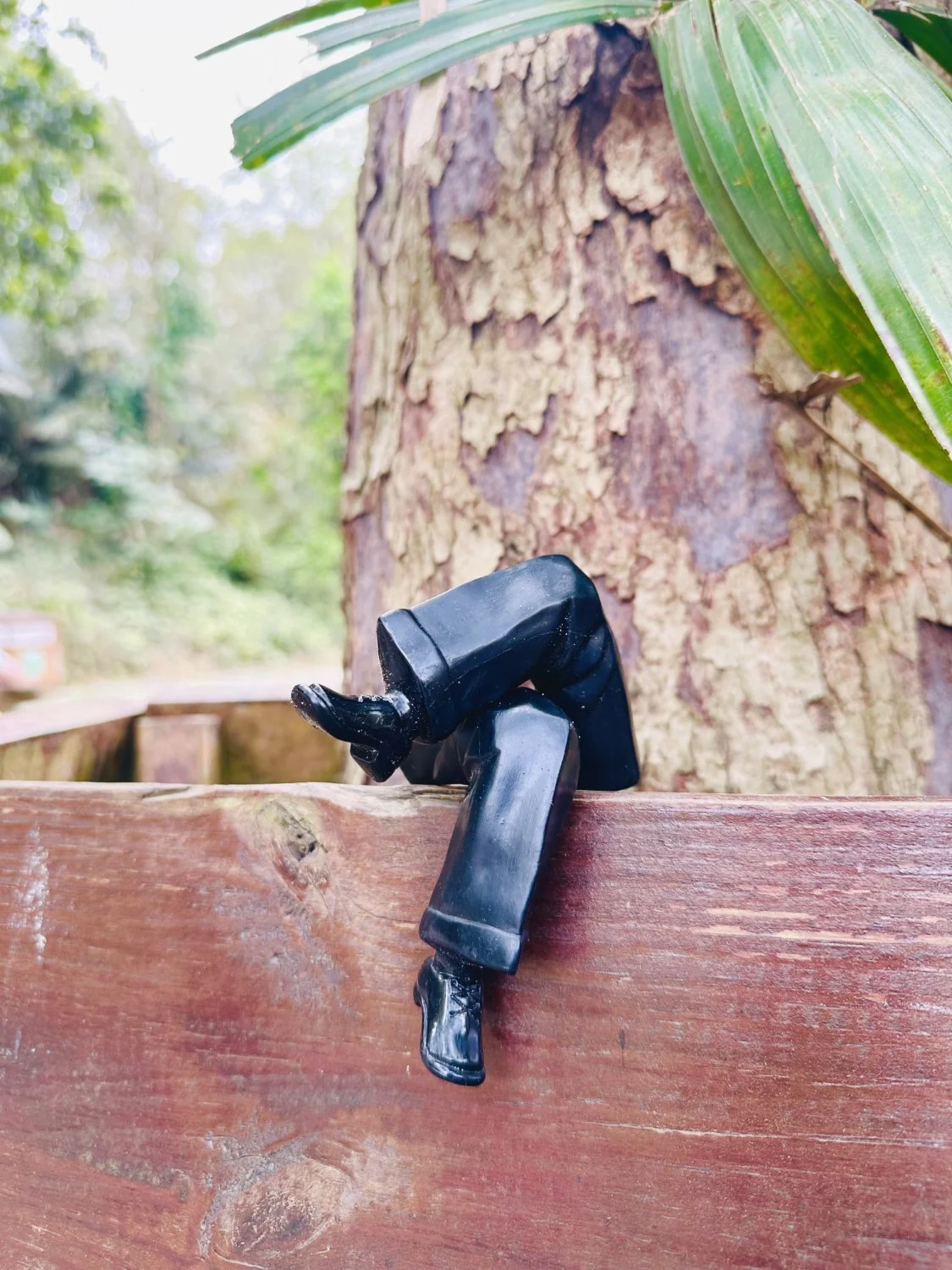 Pair of legs relaxing on a wood bench
