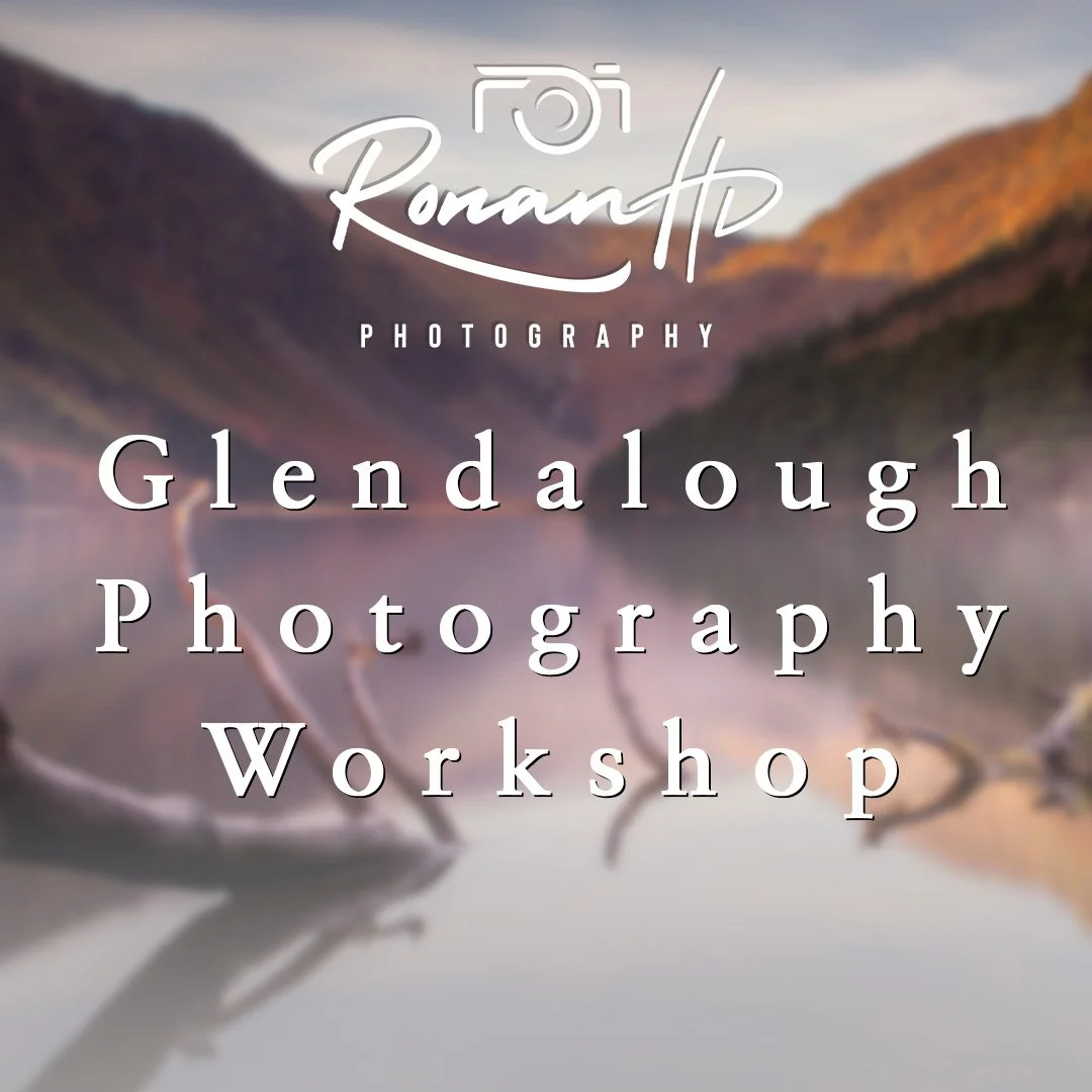 Landscape Photography in Wicklow Workshop - 21st January 2024