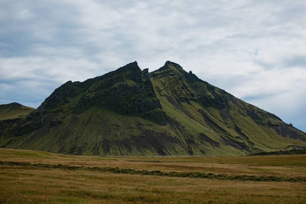 1P6A8104.jpg