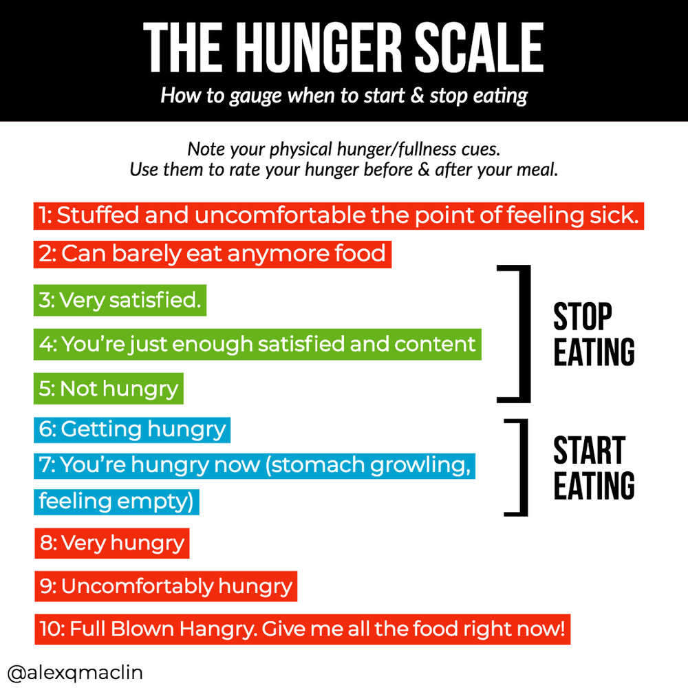 How To Stop Being Hungry All The Time - 8 Best Tips That Work - Youtube