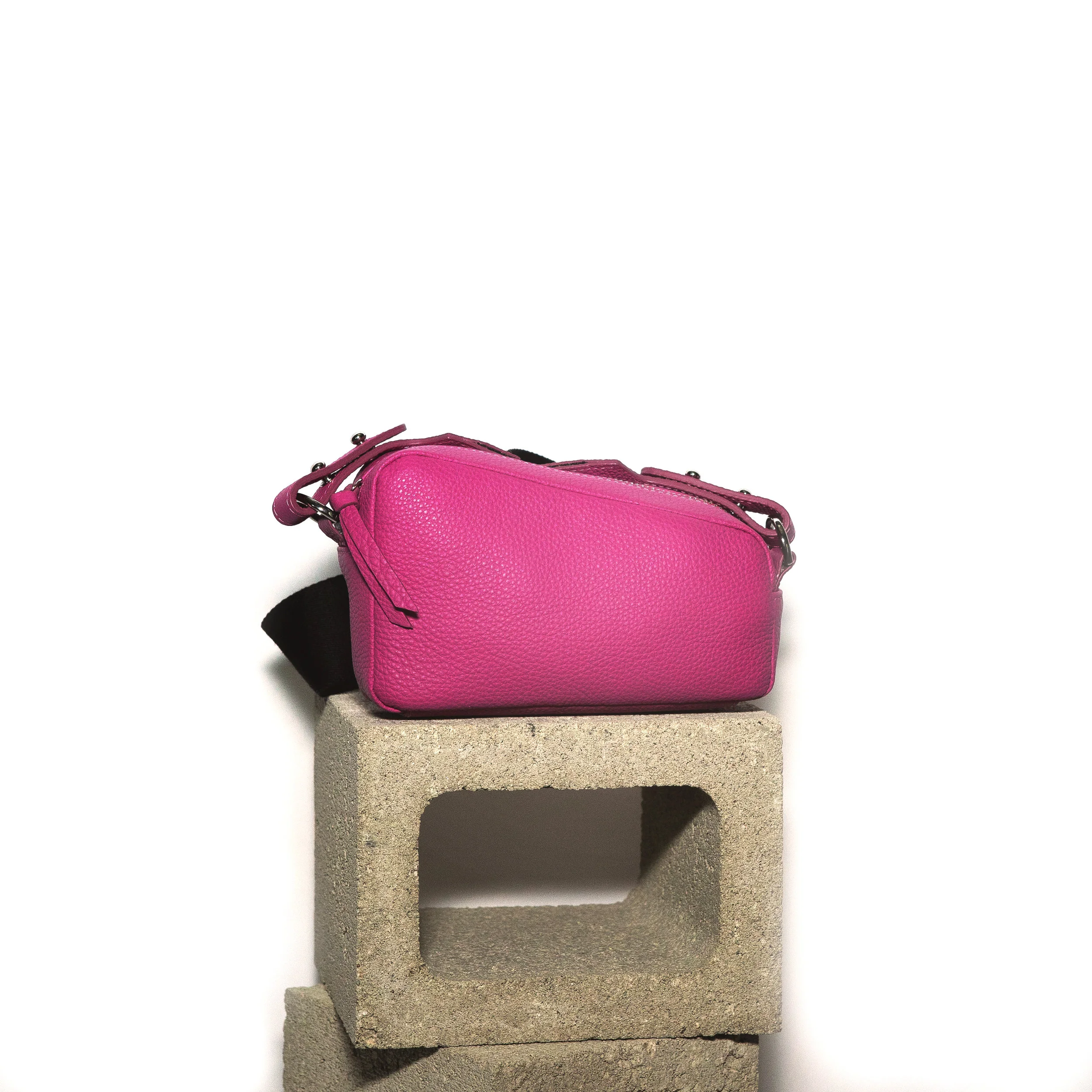 Fuchsia_FrontView.jpg