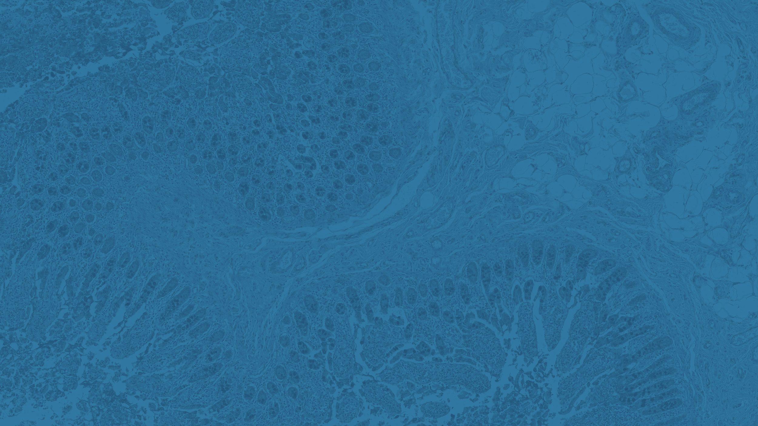 MDHoldings_Assets_banner_micro.png