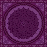 64b6aef575274b510bdfb8aa8d00b517.jpg