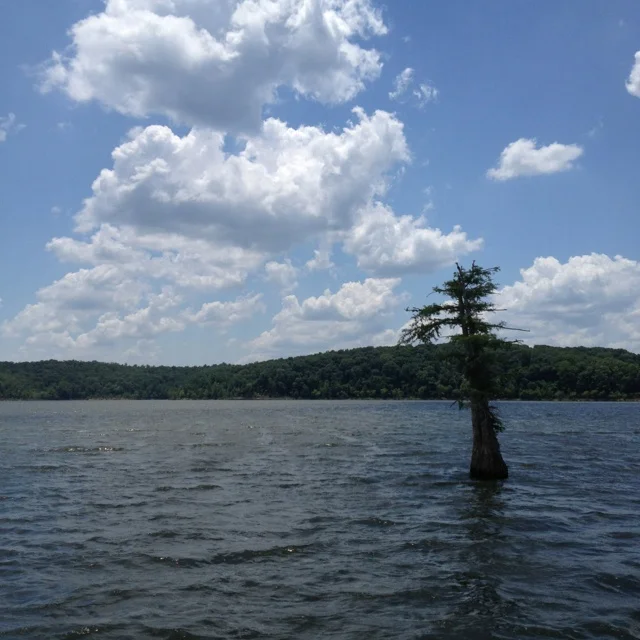 Monday July 23, 2018