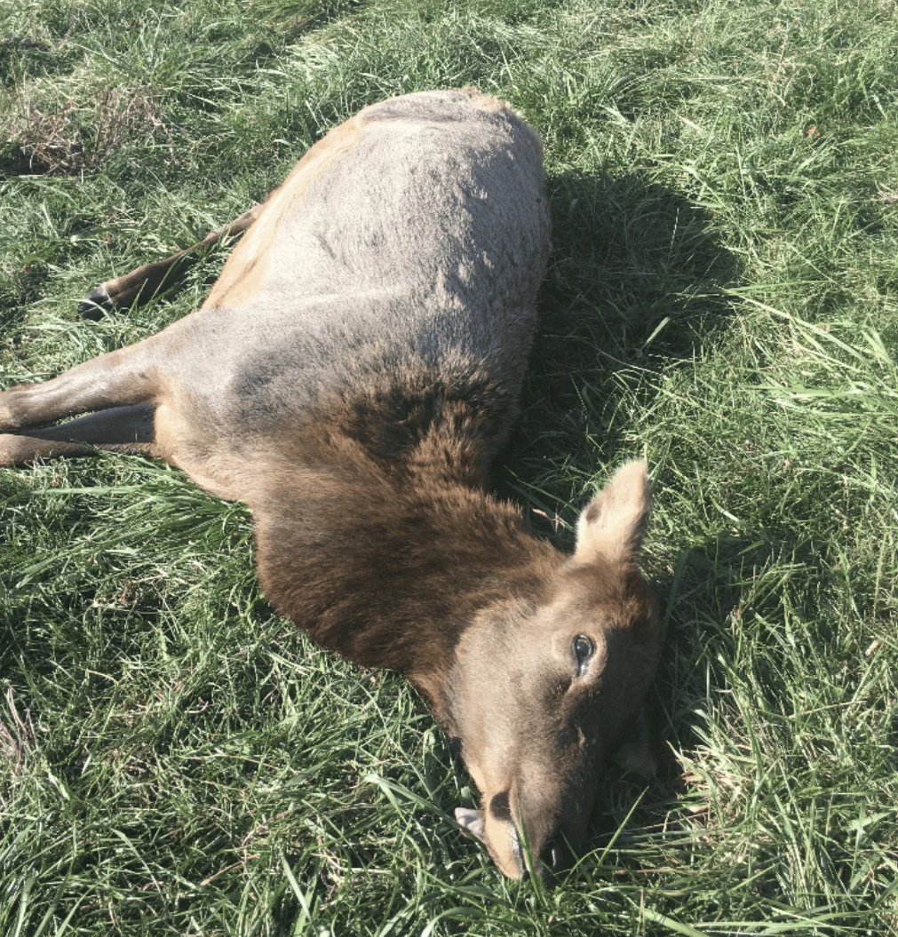 Thursday November 21, 2019