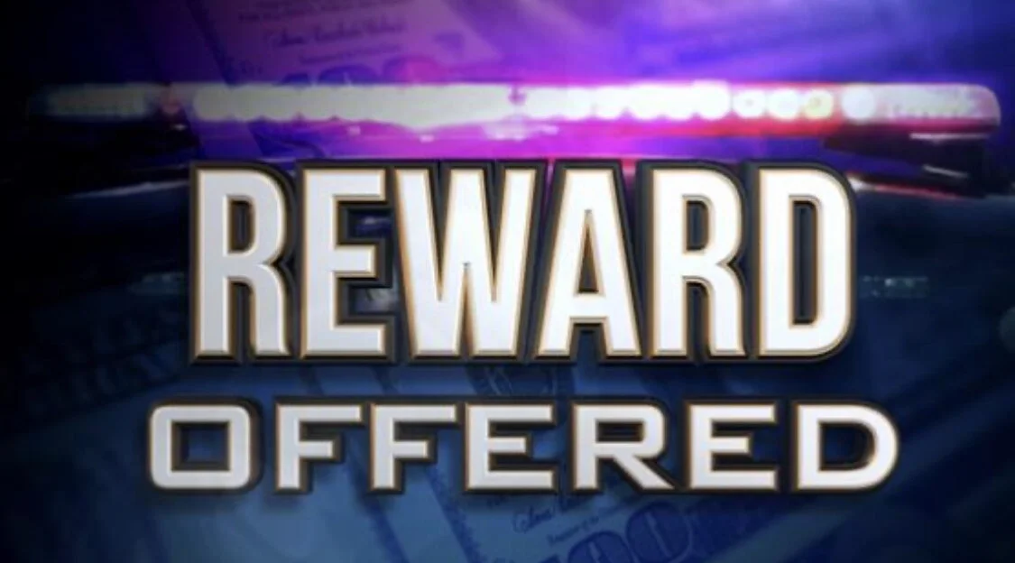 Tuesday February 18, 2020