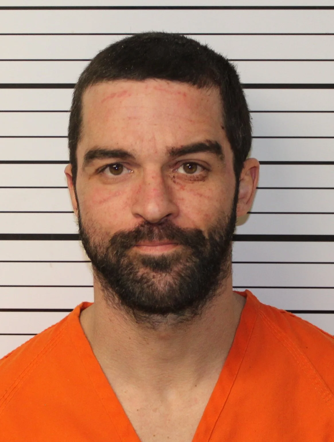 Wednesday, January 15, 2025