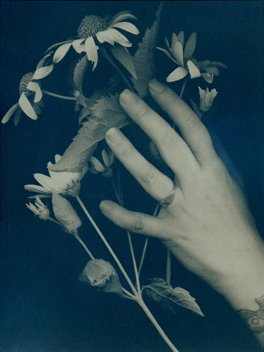 Allison Blair: May 2019