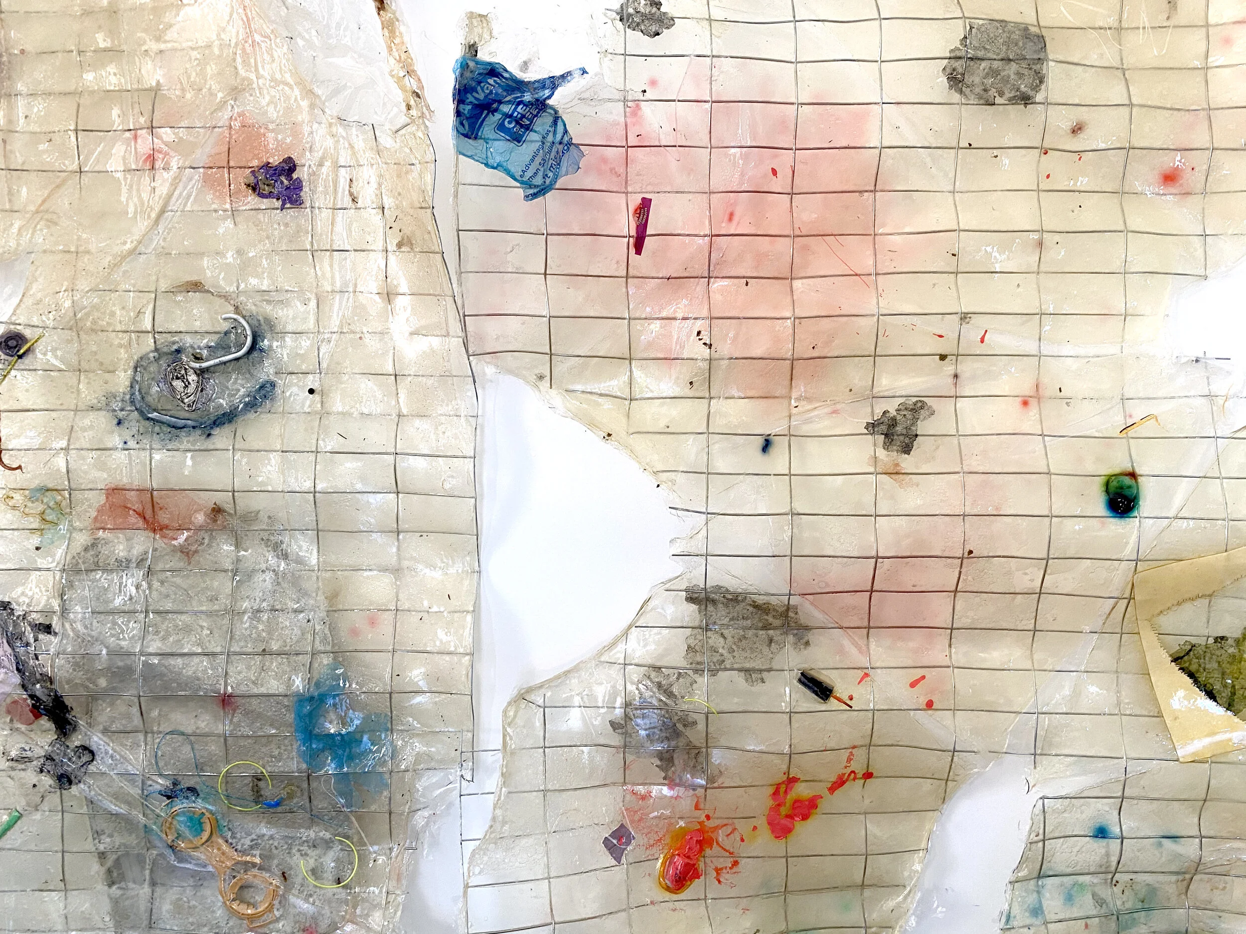 Haylee Ebersole: June 2020