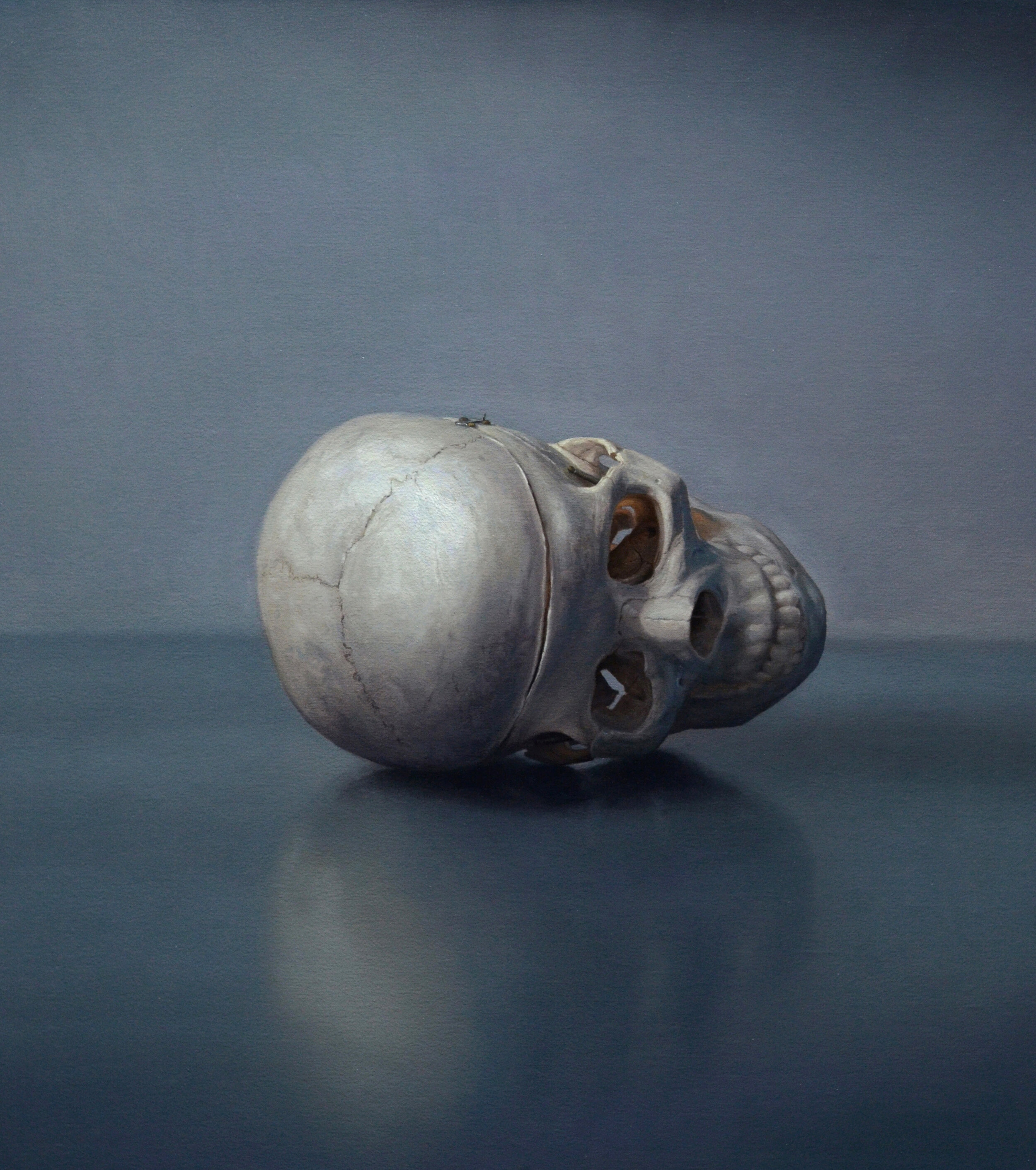   Skull , oil on linen mounted to board, 20” x 16”, 2020  This piece is part of a body of recent work currently on view at Winfield Gallery in Carmel-by-the-Sea, CA. https://winfieldgallery.com/ 