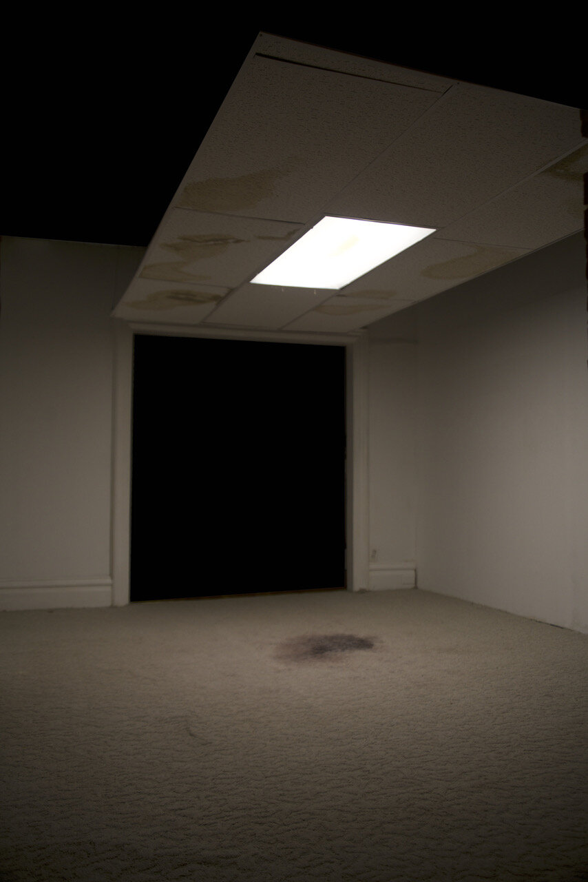   The Stain  (2019) - Installation - Carpeting, mineral fiber ceiling tile, light fixture, red stain 