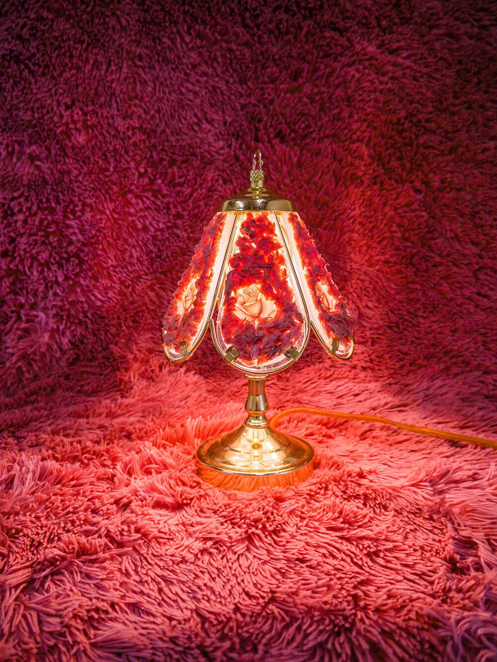 Saige Baxter: August 2021