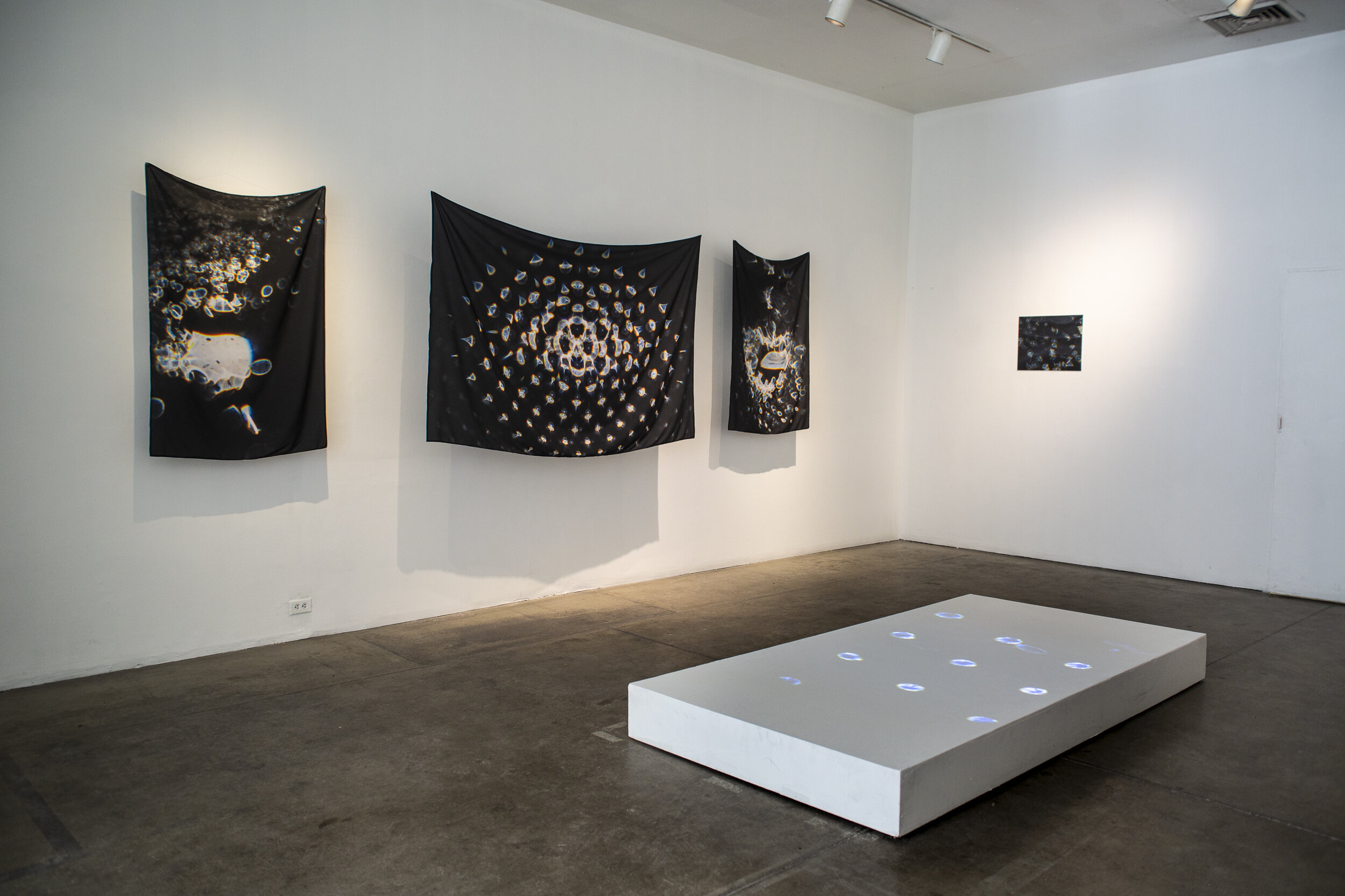  Installation view of  Voids, etc.  exhibition at 707 Gallery, Pittsburgh PA&nbsp;  January 2020    